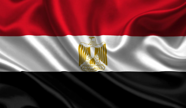 الوفد المصري.. أكبر ثاني وفد من حيث العدد مشارك في مئوية الإبادة